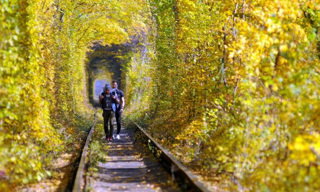 Погода на 20 октября: украинцы погрузятся в осеннюю сказку