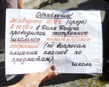 Российских родителей протестующих против закрытия школ обвинили в экстремизме