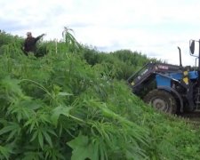 Искусно спрятали: поля с украинским "кайфом" показали в сети