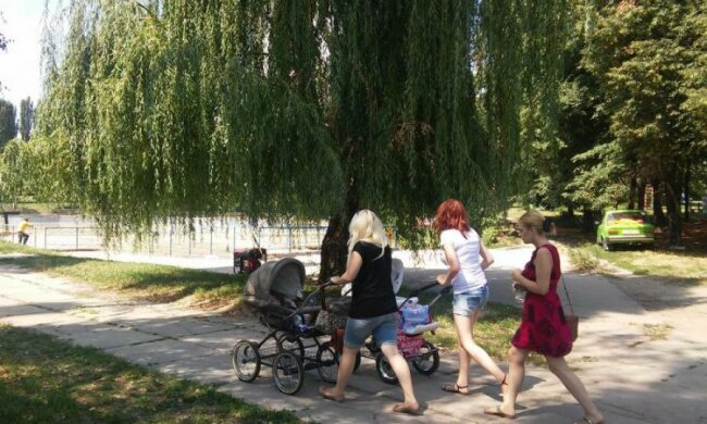 Озеро в дитячому парку перетворилося на борщ: відео