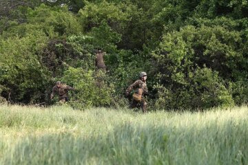 Військові, фото: Facebook