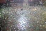Град в Полтаве побил машины и покосил деревья (ФОТО, ВИДЕО)