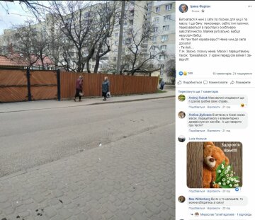 Публікація Ірини Фаріон, Facebook