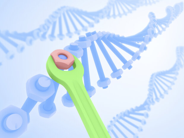 Ремонт ДНК: медики виявили раніше невідому функцію імунітету