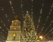 Очень странная елка под Киевом поставила на уши соцсети