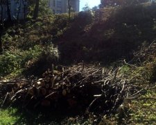 Roshen наступає: на схилах Старокиївської вирубали понад 160 дерев (фото)
