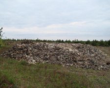 На Волині за ніч утворився велетенський скотомогильник
