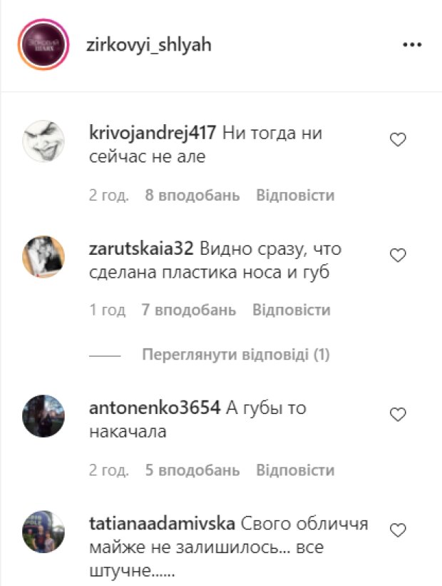 Комментарии instagram.com/zirkovyi_shlyah