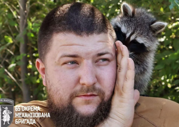 Сержантка Моллі: пухнастий звір став бойовим побратимом українських воїнів, навіть має обов'язки