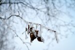 Запоріжжя застрягло в "плюсах": чим здивує погода у Тетянин день