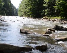 В реке под Франковском обнаружили опасные бактерии - снимайте купальники, чтобы потом не обнимать унитаз