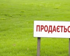 Отмена моратория на продажу земли выгодна олигархам