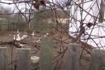 Двір, скріншот: YouTube