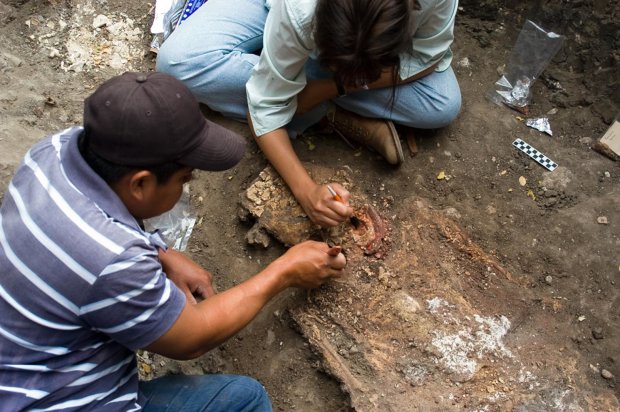 Ученые открыли самую старую королевскую усыпальницу цивилизации майя: "после смерти их души продолжают жить"