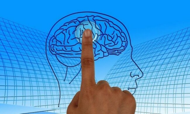 Науковці з’ясували, як формується відчуття страху