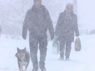 Сніг у Карпатах, фото: скріншот з відео