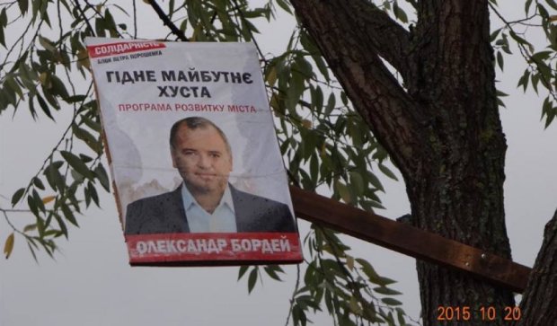 Закарпатский кандидат так хочет в мэры, что «залез» на дерево (фото)