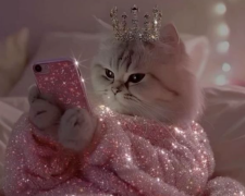 Гороскоп, изображение: Pinterest