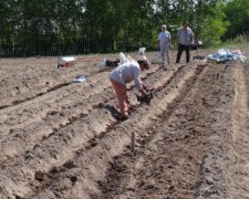 20 років лежав у городі: чоловік знайшов труп колишнього своєї дружини