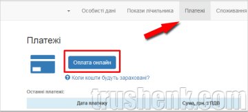Оплата онлайн, trushenk