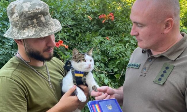 Боевой кот Шайба с хозяином. Фото Twitter