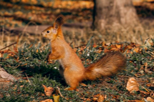 Чому не можна працювати 8 листопада і куди потрібно нести пиріг сьогодні: прикмети та заборони на Михайла