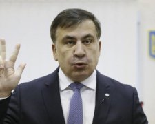 Cаакашвили уже с документами