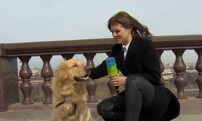 ретривер, скріншот з відео