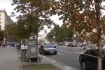 Поки в Києві тріщать труби, комунальники поливають туї Кличка під дощем