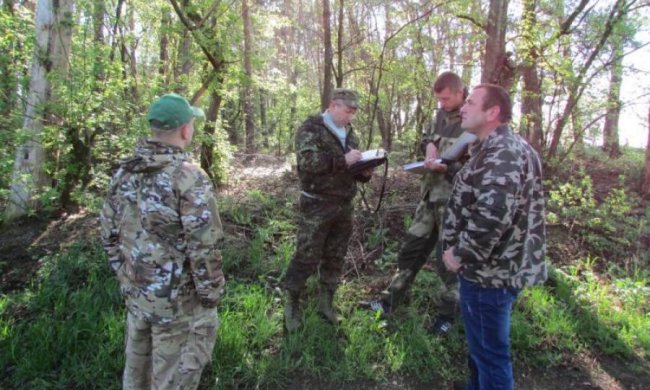 Правительство Гройсмана решило уничтожить леса Украины