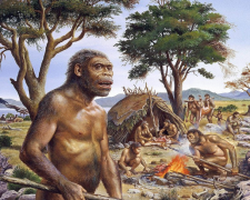 Homo erectus, ілюстрація: versiya.info