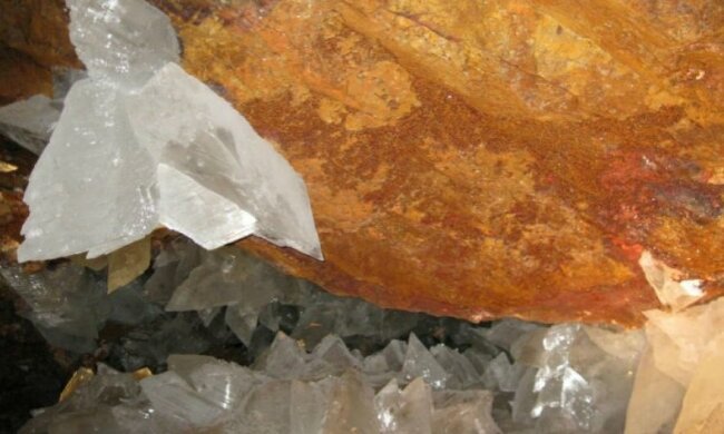 У мексиканських печерах знайшли невідомі форми життя