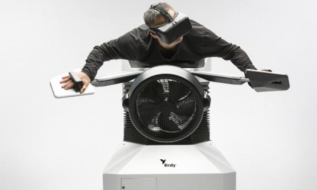 Швейцарець навчився літати, як птах (відео)