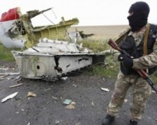 Россия не заметила как сбила малазийский самолет