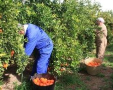 Волонтери взяли в кредит джип для АТО