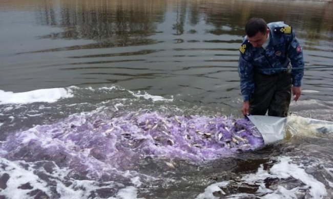 Одна из украинских областей на грани экологической катастрофы
