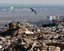 Украинский мусором можно накрыть Данию