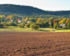 Продаж землі, фото: Zik