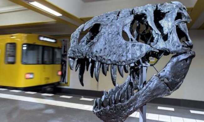 Тиранозавр Трістан відправиться у Євротур (фото)