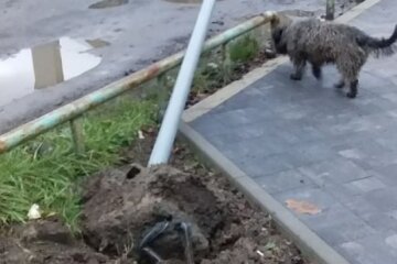 На Закарпатті вандали перетворили парк на руїни, комунальники не встигають наводити лад: "Дуже руки сверблять?"