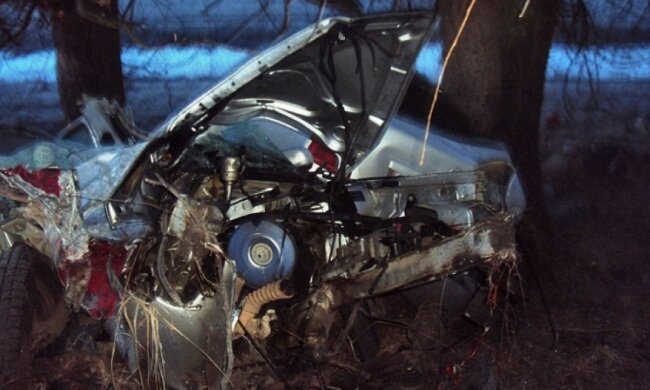 Автомобіль влетів у дерево на Чернігівщині: троє загинуло (фото)