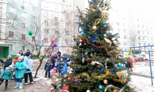 Еще один "слабак": в Запорожье выбросили елку