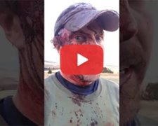 Ще й відео зняв: як гризлі зазіхнув на скальп американця