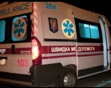 У Києві школярка сходила на малювання і викинулася з 18-го поверху