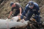 После наводнения на Закарпатье, скриншот с видео