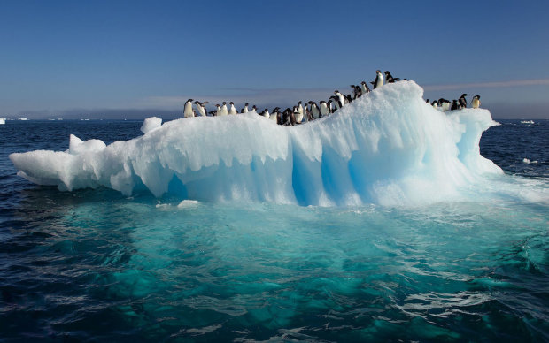 Арктика может остаться без ледяного щита