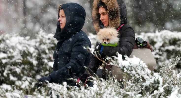 снегопад фото: reuters