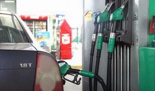 Цена на бензин растет из-за жадности заправок