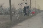 мусор на деревьях, Николаев - скрин с видео