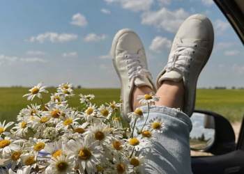 Гороскоп, изображение: Pinterest